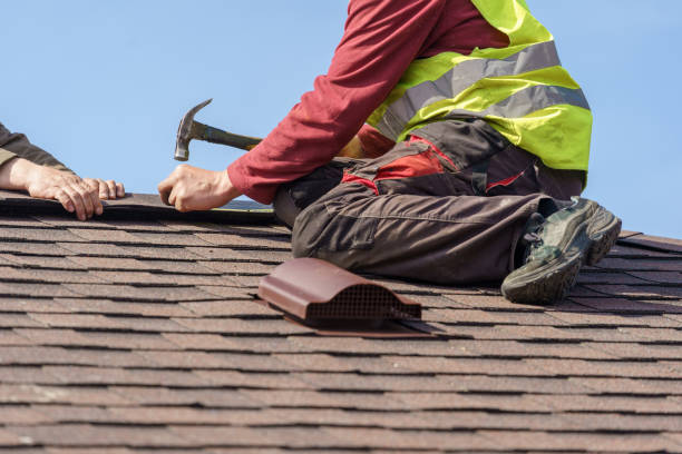 Best Gutter Installation and Roofing  in Janesville, CA