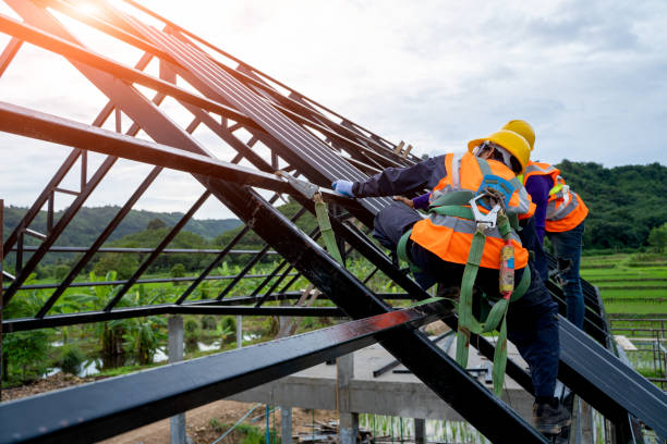 Best Roof Repair Services  in Janesville, CA