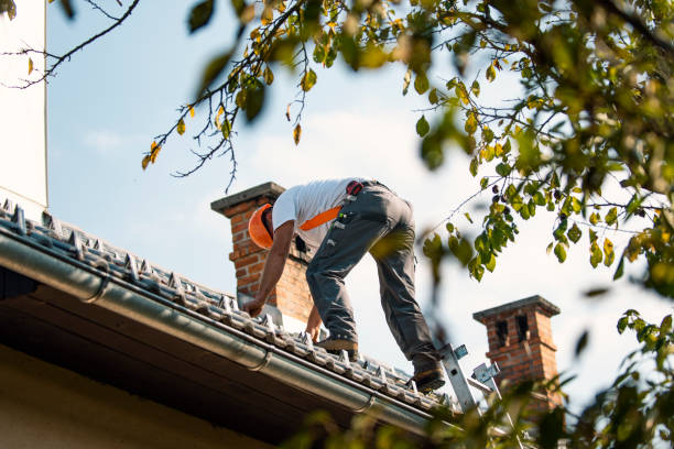 Best Slate Roofing Contractor  in Janesville, CA