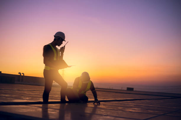 Roof Gutter Cleaning in Janesville, CA
