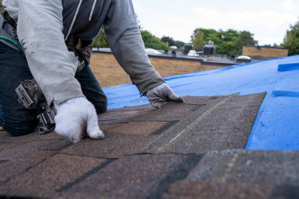 Best Shingle Roofing Installation  in Janesville, CA
