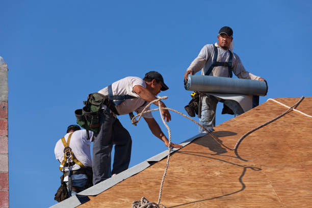 Best New Roof Installation  in Janesville, CA