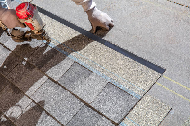 Best Roof Inspection Near Me  in Janesville, CA