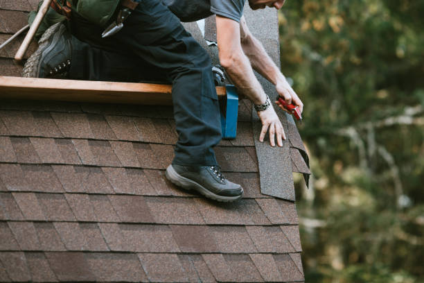 Best Flat Roof Repair Services  in Janesville, CA