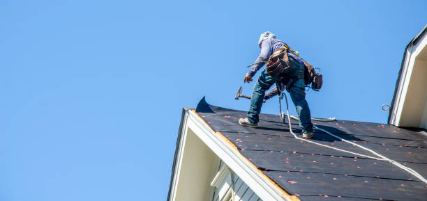 Best Best Roofing Contractors  in Janesville, CA